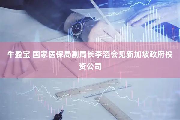 牛盈宝 国家医保局副局长李滔会见新加坡政府投资公司