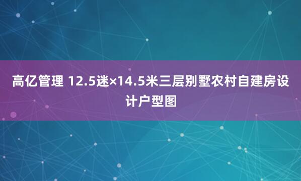 高亿管理 12.5迷×14.5米三层别墅农村自建房设计户型图