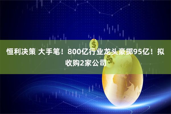 恒利决策 大手笔！800亿行业龙头豪掷95亿！拟收购2家公司